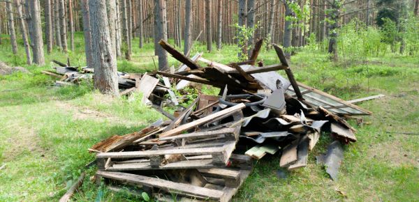 Debris Removal Service in West Palm Beach