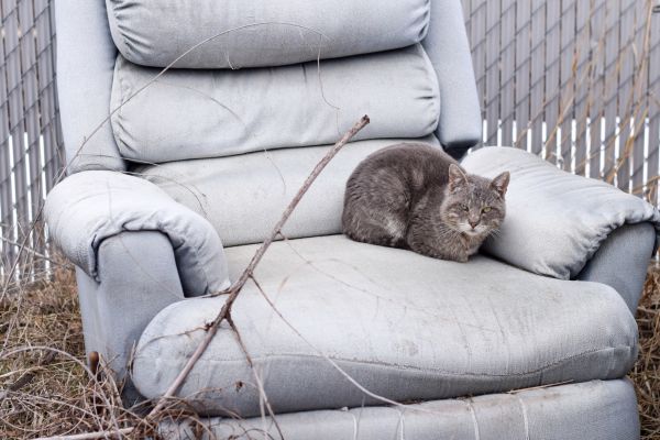 Recliner Disposal in West Palm Beach
